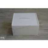 Custom Acrylic Lash Strip Box with Strips Ttablet Wholesale