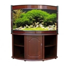 Low Price OEM Acrylic Fish Tank for Sale