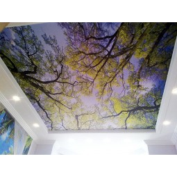 Le plafond fait sur commande de PVC de paysage fait sur commande tendent le film pour la décoration