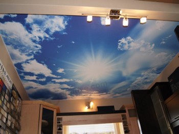 Plafond tendu transparent de PVC et tissu imperméable de plafond de tissu en gros