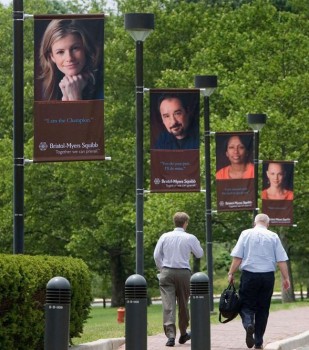 Double Sided Pole Banners for Street Display Wholesale