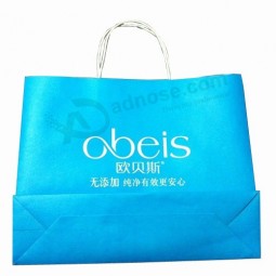 Color Printed Paper Shopping Carrier Bag Cheap Wholesale