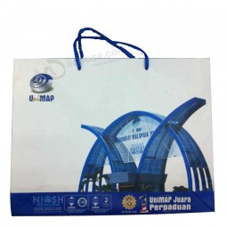 Custom Color Printing Paper Shopping Gift Bag Wholesale