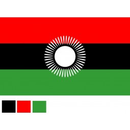 Bandiera della bandiera nazionale della bandiera di paese, bandiera di paese su ordinazione di 90 * 150cm