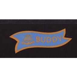 Wholesale customized high-end Iron-on Backing and Laser Cut Edge Woven Badge