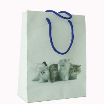 Custom Paper Shopping Bag with Printed Logo Wholesale