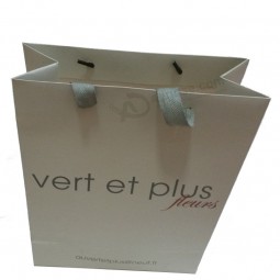 Printing Paper Gift Carrier Shopping Bag Cheap Wholesale (SW395)