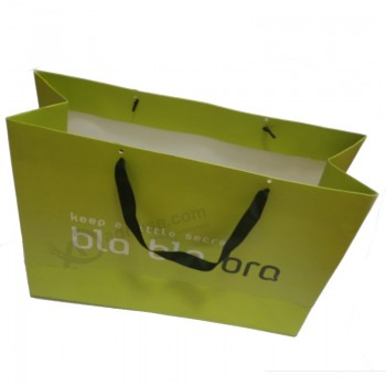 Custom Printed Paper Gift Carrier Shopping Bag Wholesale (SW389)
