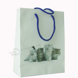 Cheap Custom Paper Bag - Paper Shopping Bag Sw158