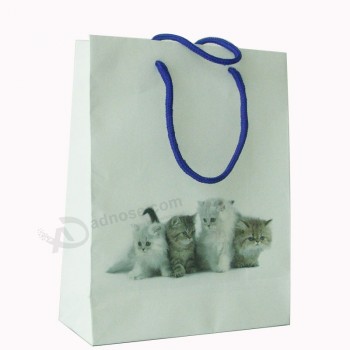 Goedkope aangepaste papieren zak-Paper Shopping Bag Sw158