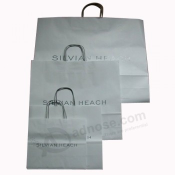 Sac en papier personnalisé en gros-Paper Shopping Bag Sw136