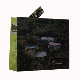Billige kundenspezifische Papiertüte-Paper Shopping Bag Sw131