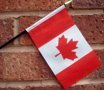 Bandera de Canadá de mano del país mundial para promocional