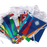 High Quality Mini Triangle String Banner World Flag Bunting with high quality and any size