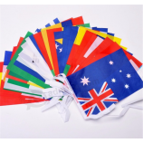 Mini Canada String Flags Banner Flag Bunting with high quality and any size