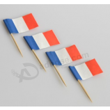 Factory printing paper France toothpick flag for sale