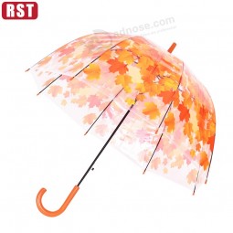 High quality rainny princess dome clear umbrella leaves transparent cute apollo umbrella with your logo