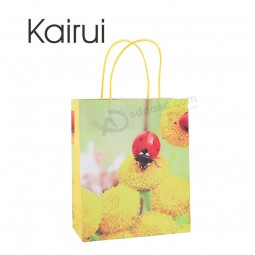 Shopping bag di carta insEtto classico