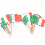 China bamboo toothpick factory custom toothpick flag