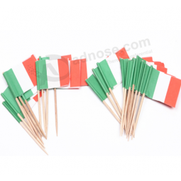 China bamboo toothpick factory custom toothpick flag