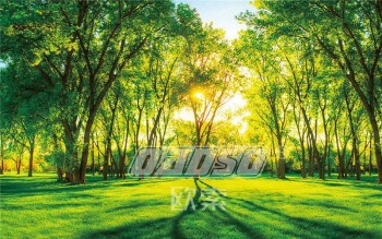 F013 Green Forest Landscape Ink Painting Wall Background Decoration