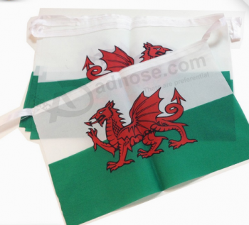 Customized Polyester Fabric Bunting Flags for Sports
