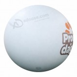 Aufblasbarer Ballon des Karikatur-Rettich-Fußabdrucks Werbung PVCs