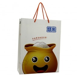 Nouveau style shopping personnalisé vente chaude beau design sac de papier de taille daiso