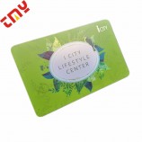 Visto em branco claro personalizado impresso cartão de visita de plástico