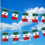 Mini Mexican String Flag Mexico Bunting Banner