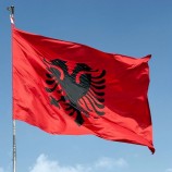 Hecho en china alibaba Venta caliente personalizado Todo tipo bandera albanés