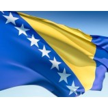 gesublimeerd hoge kwaliteit Bosnië en Herzegovina land vlag