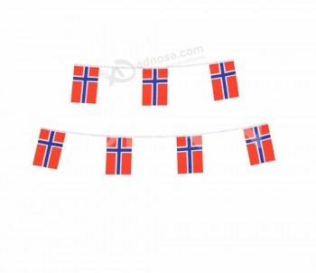 ノルウェー国旗旗布を祝う最新のカスタム国際フェスティバル