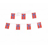 Latest Custom International Festival Celebrating Norway Flag Bunting