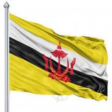 Wholesale custom Brunei 3x5 Ft Poly Flag with Brass Grommets