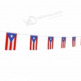 Puerto Rico String Flag Bunting Flag