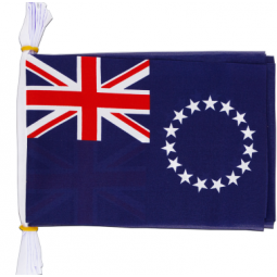 China supplier Cook Islands string flag bunting manufacturer