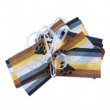 Decorative Polyester Fabric Country String Mini Flag Bunting