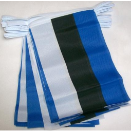 爱沙尼亚国家彩旗庆祝的旗帜横幅