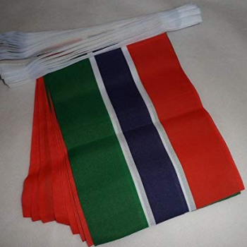 banner de bandeira de estamenha de mini poliéster decorativo gâmbia