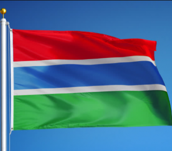 tecido de poliéster bandeira nacional da gâmbia bandeira do país