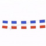 Polyester France String Flag Mini France Bunting Flag