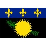 Guadeloupe Flag 3' x 5' - French Region of Guadeloupe Flags 90 x 150 cm - Banner 3x5 ft