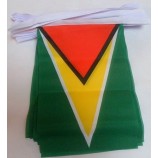 Guyana 6 Meters Bunting Flag 20 Flags 9'' x 6'' - Guyanese String Flags 15 x 21 cm