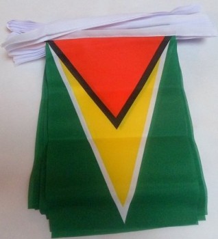 guyana 6 meters bunting flag 20 flags 9'' x 6'' - guyanese string flags 15 x 21 cm