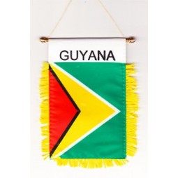 Wholesale custom high quality Guyana - Window Hanging Flag