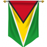 Hanging Polyester Guyana Pennant Banner Flag