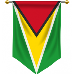 hanging polyester guyana pennant banner flag