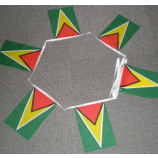 Decorative Guyana National string Flag Guyana bunting banner