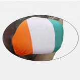 Wholesale Ireland car side rear view mirror flag cover